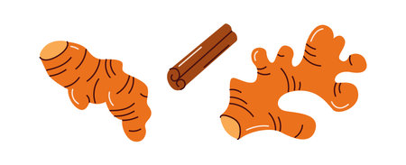 Illustration of fresh ginger root and cinnamon sticks, commonly used in kombucha brewing to enhance flavor and provide natural health benefits.のイラスト素材