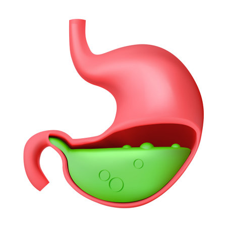 A vibrant 3D illustration of the human stomach depicting its anatomy with colorful fluid inside. Highlights digestive system structure for educational use.のイラスト素材