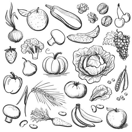 A collection of sketches vegetables and fruits. Isolated pictures on a white backgroundのイラスト素材