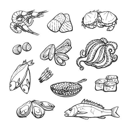 Seafood.Isolated vector graphics on white backgroundのイラスト素材