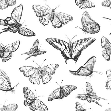 Seamless pattern a collection of butterflies. Hand drawnのイラスト素材