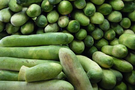 green squash の写真素材