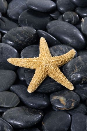 spa still lifeの写真素材