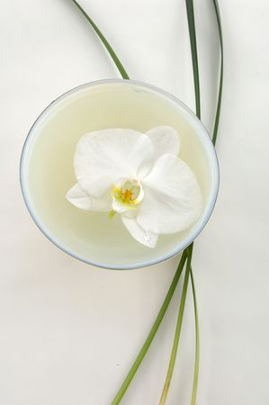 Orchid in vase with long thin leafの写真素材