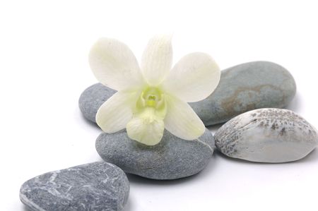 Zen stones with white orchidの写真素材