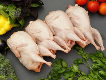 Fresh quail meatの写真素材