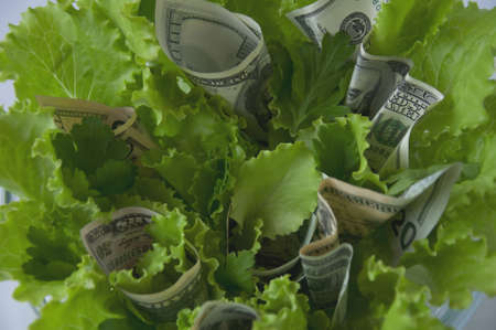  dish of currency (dollars) with lettuce and greensの写真素材