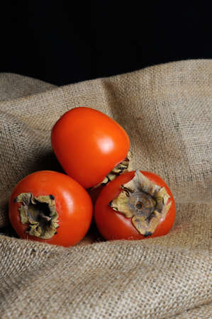Group of ripe juicy persimmons in the tissues of burlapの写真素材