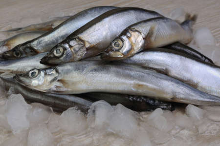 A pile of fresh capelin on the ice on a tableの写真素材