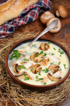 Delicate soup puree from champignons and chicken with herbsの写真素材