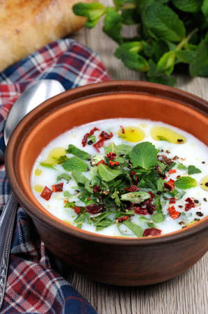 Refreshing ?old summer soup the rice, mint and yoghurt, spices.  Vertically shot.