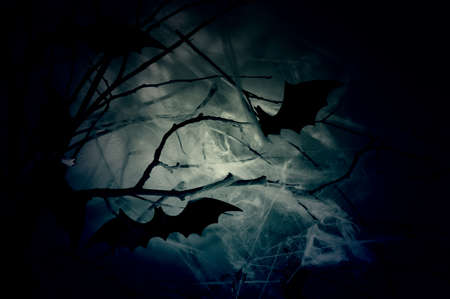 Decor of the silhouettes of bats on branches in a web in the night haze.の写真素材