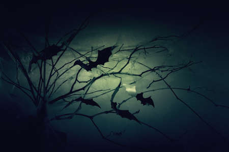 Decor of the silhouettes of bats on branches in a web in the night haze.の写真素材