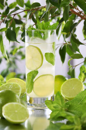 Refreshing organic Mojito cocktail made from fresh lime, white rum combined with fresh juice and mint. This is the perfect cocktail for summer days.の写真素材