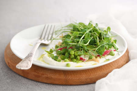 Vegan healthy salad made microgreen sprouts peas, quinoa, radish, mint and yogurtの写真素材