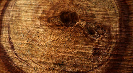 Old dark wooden texture background. Brown tree sliceの写真素材