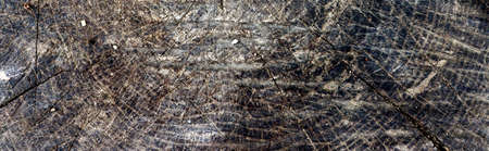 Natural banner concept. Tree slice backdrop. Old cracked wooden backgroundの写真素材