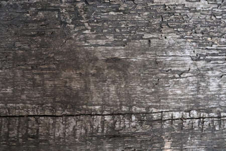 Abstract old wooden boards. Natural wood material frame backgroundの写真素材