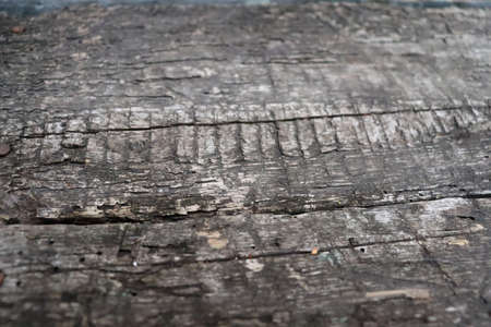 Abstract old wooden boards texture. Natural grunge background