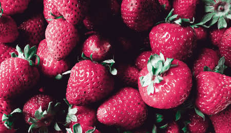 Beautiful banner concept with strawberry. Red berry backgroundの写真素材