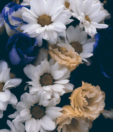 Colorful flower background for banner. Bouquet with blue and white flowerの写真素材