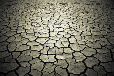 The soil in the fissures appeared on the long-term heat