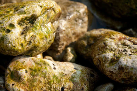 Texture wet stones from the sea coastの写真素材