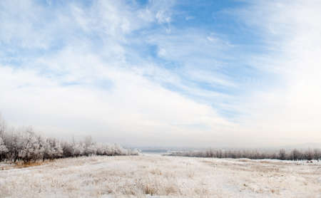 Winter panorama with beautiful blue sky and trees in snowの写真素材
