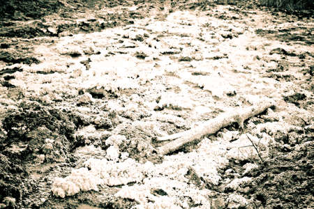 The bed of a dried-up creek covered with saltの写真素材