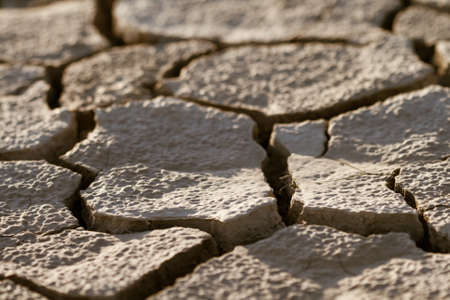 Cracked by the heat long lifeless soilの写真素材