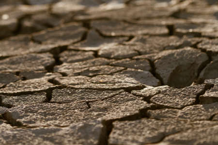 Cracked by the heat long lifeless soil