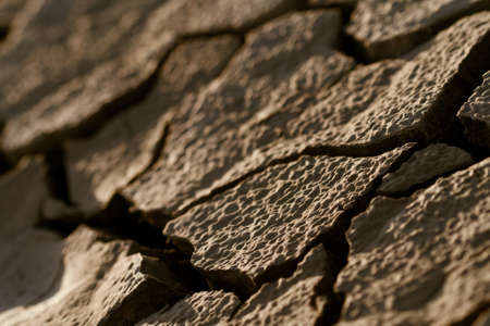 Cracked by the heat long lifeless soil