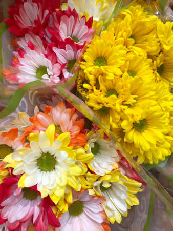 bouquets of yellow daisies with green centers and colorful bright flowers in a fresh bunch for a romantic giftの写真素材