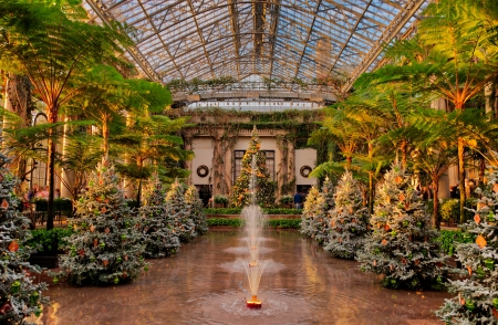 Christmas trees and fountains in the Conservatory, Longwoods Gardens, PA  のeditorial素材