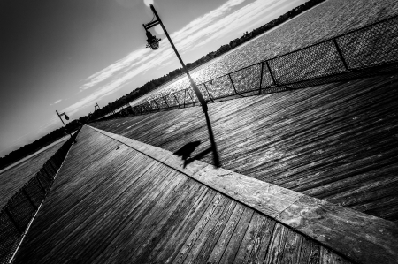 Fishing pier at Cape Henlopen State Park, Delawareの写真素材