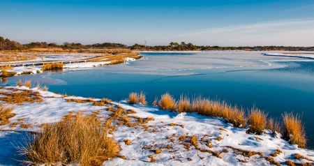 Snow covered marsh at Assateague Island National Seashore, Maryland.の写真素材