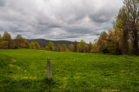 Trail marker in a meadow along the Appalachian Trail in Shenandoah National Park, Virginia.