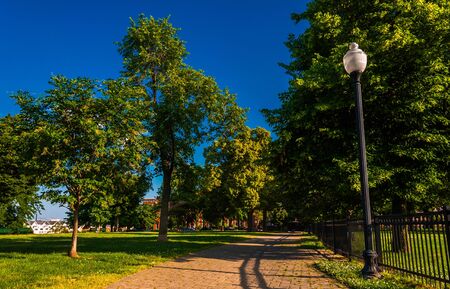 Lamp and brick path through trees on Federal Hill, Baltimore, Maryland.