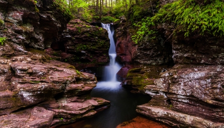 Adam's Falls, tucked in a small gorge on Kitchen Creek in Ricketts Glen State Park, Pennsylvania.の写真素材