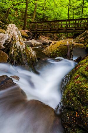 Cascades on Kitchen Creek and a walking bridge along the Falls Trail in Glen Leigh, Ricketts Glen State Park, Pennsylvania.の写真素材