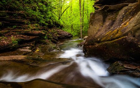 Kitchen Creek cascades downstream through Glen Leigh, in Ricketts Glen State Park, Pennsylvania.の写真素材