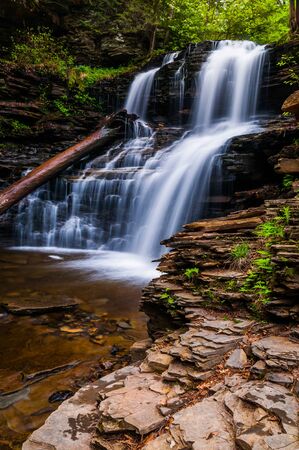 Shawnee Falls, at Ricketts Glen State Park, Pennsylvania.の写真素材