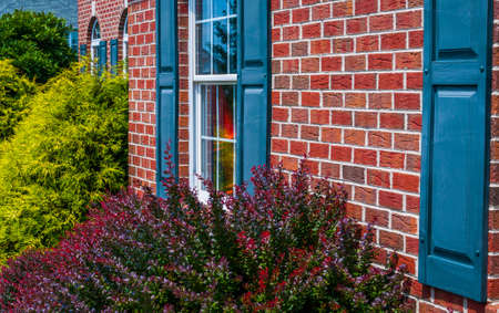 Bushes and front of brick house with blue shuttersの写真素材
