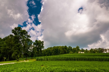 Summer storm clouds over farm fields in Southern York County, PA.の写真素材