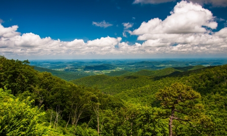 View of Piedmont from Skyline Drive in Shenandoah National Park, Virginia.の写真素材