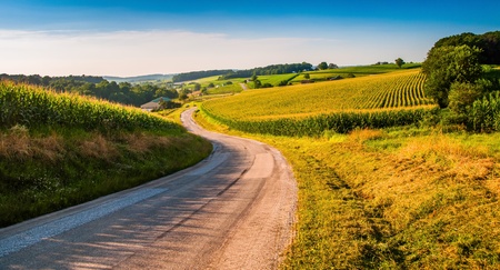 Farm fields along a country road in rural York County, Pennsylvania.の写真素材