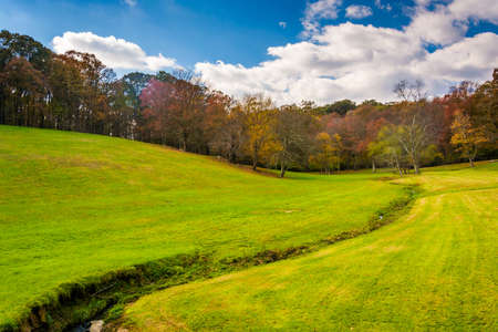 Small stream in rural Baltimore County, Maryland.の写真素材