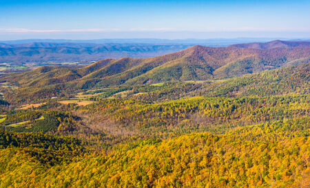 Autumn color in the Appalachian Mountains, seen from Skyline Drive in Shenandoah National Park, Virginia.の写真素材
