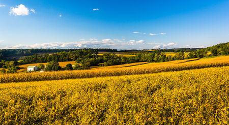 Farm fields and distant hills in rural York County, Pennsylvania.の写真素材
