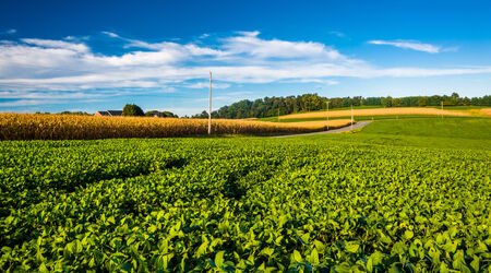 Farm fields in rural York County, Pennsylvania.の写真素材